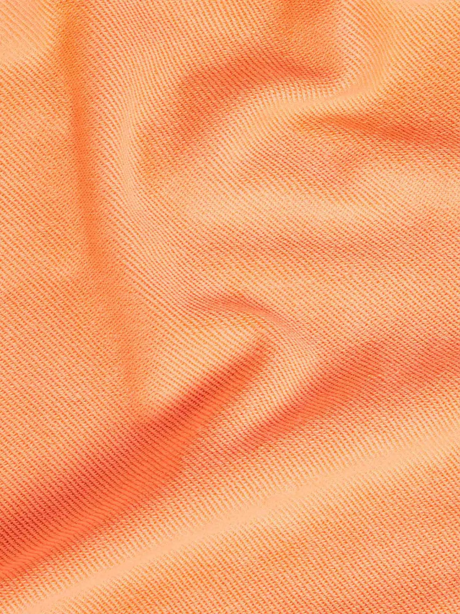 Archive 365 Shorts - Tropics—papaya