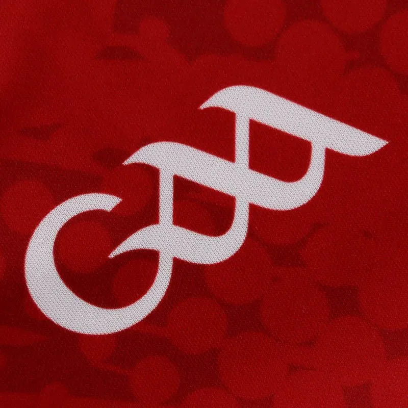 Down GAA Home Jersey 2023 Personalised